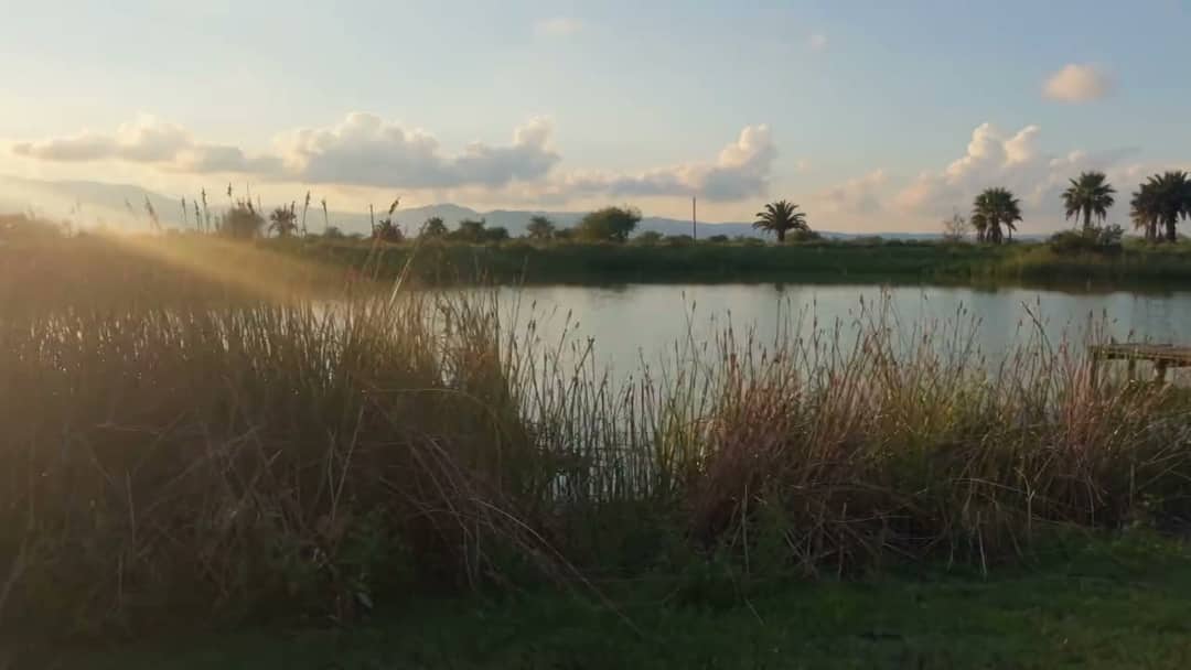 El lago del Rancho El Cortijo al atardecer